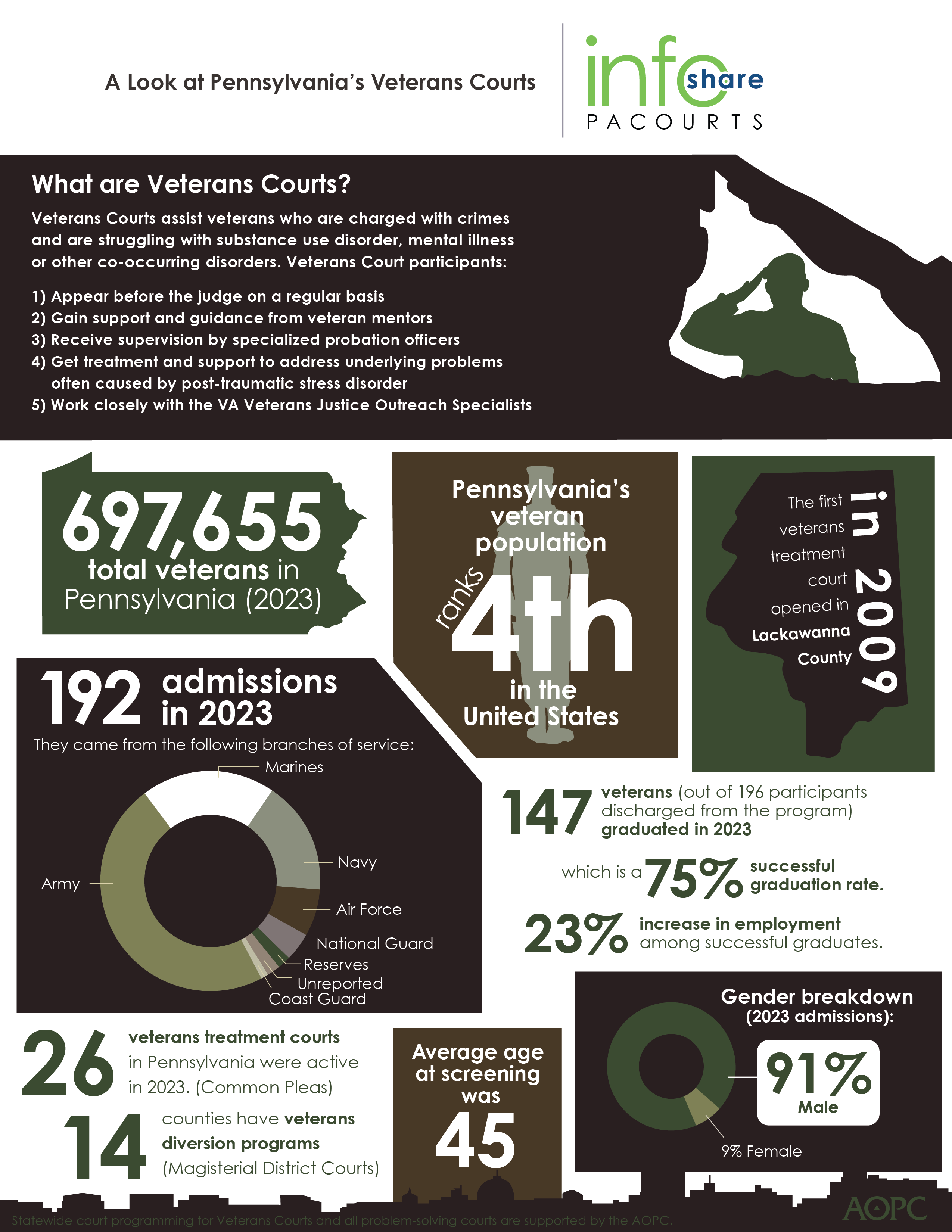 veterans courts infoshare 2024